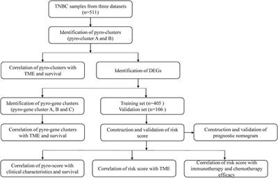 Identification of the pyroptosis-related prognostic gene signature and characterization of tumor microenvironment infiltration in triple-negative breast cancer